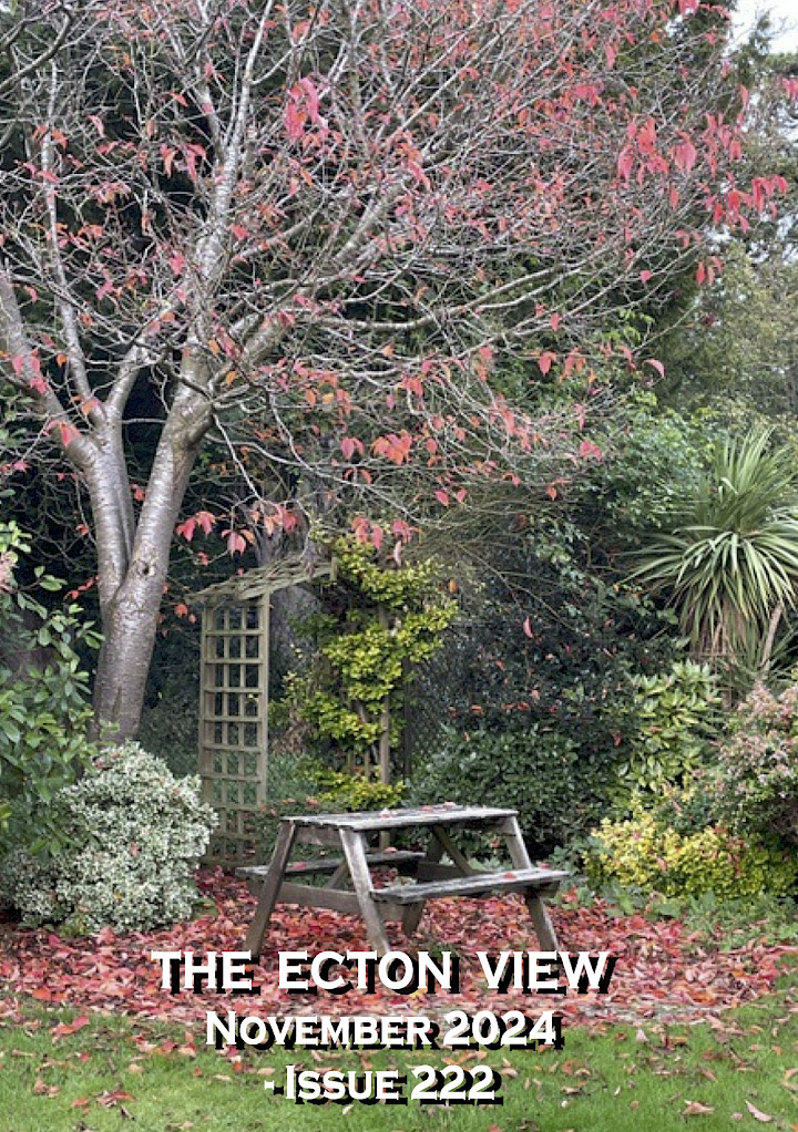 November 2024 village magazine preview