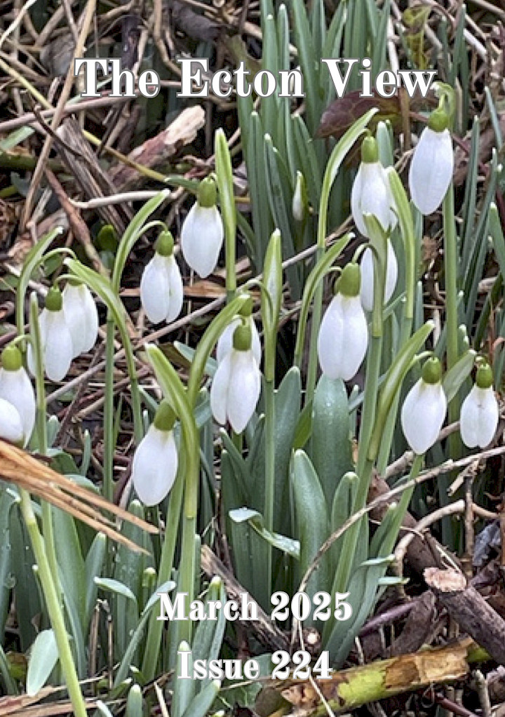 March 2025 village magazine preview
