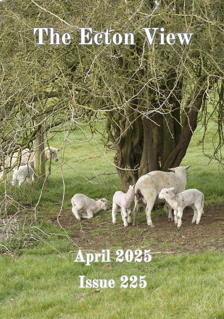 April 2025 village magazine preview