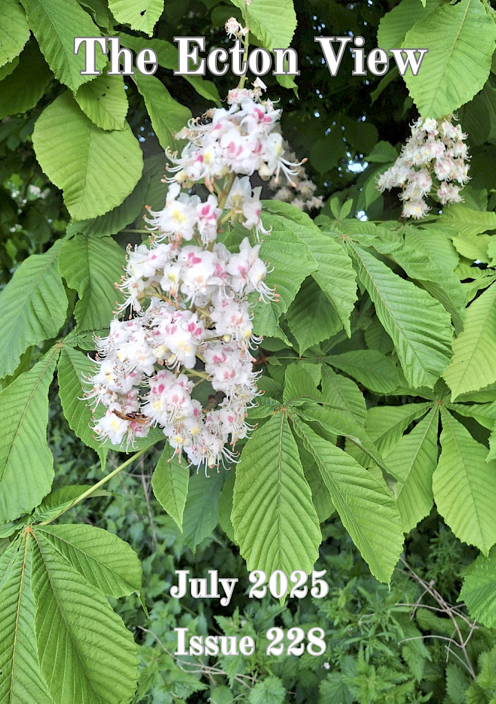 July 2025 village magazine preview