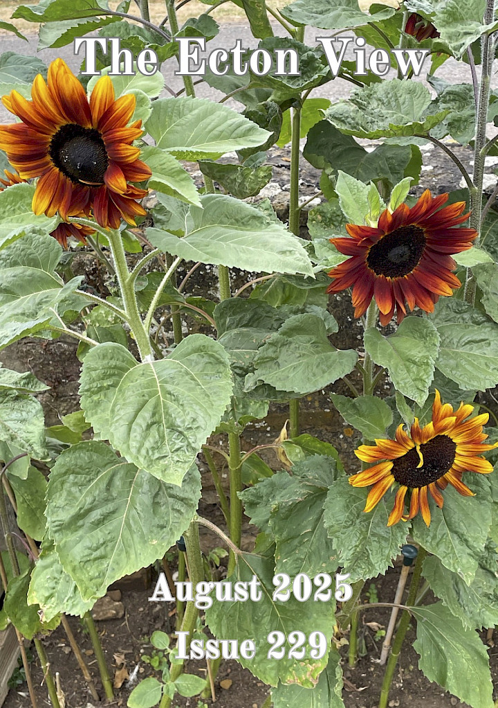 August 2025 village magazine preview